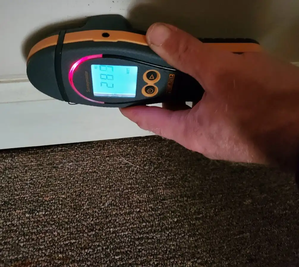 Moisture detection at baseboard during Sewage Cleanup & Sanitation in Joliet